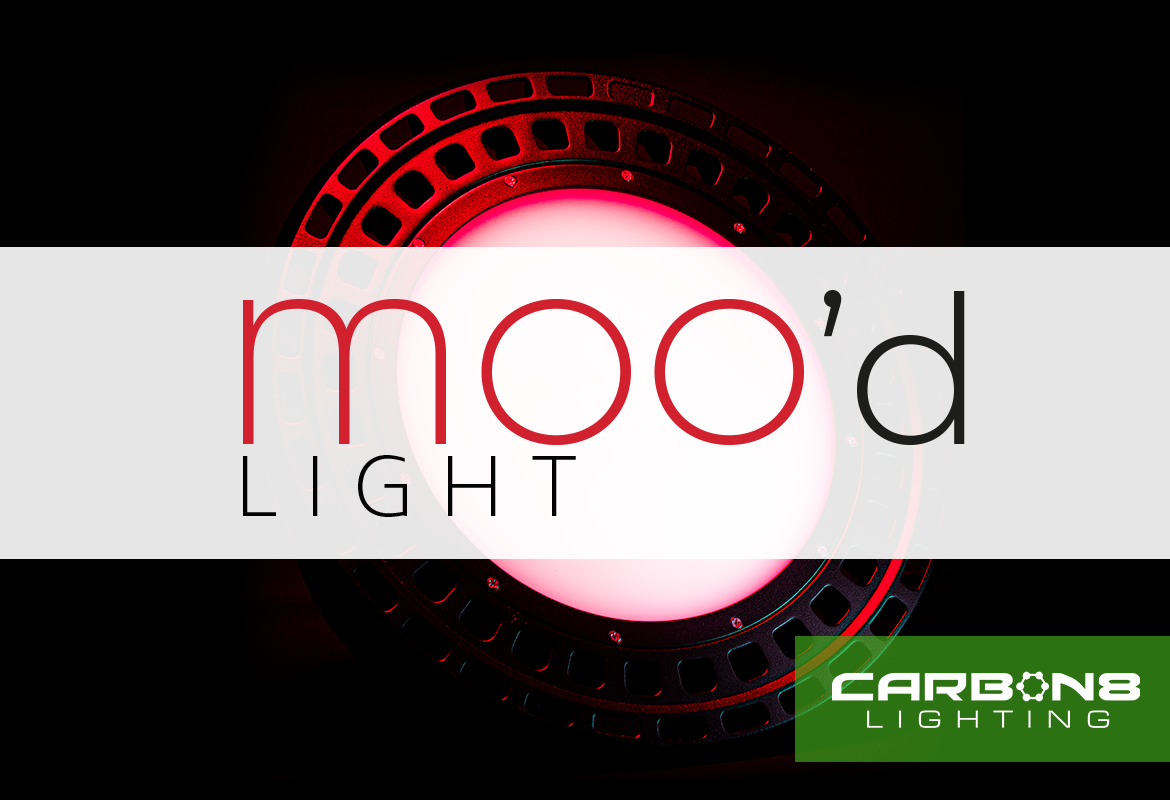 The Carbon8 MOO'd Light